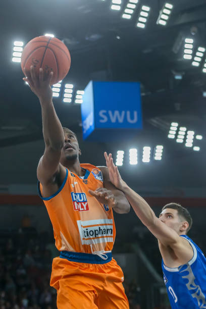 向新的高度 向新的高度